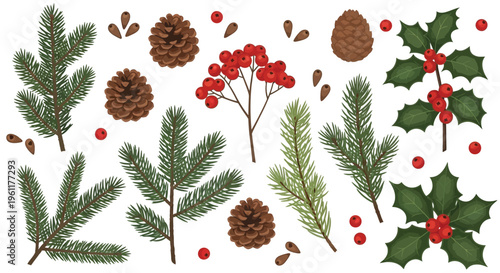 Collection of winter holiday elements including pine branches holly berries and brown cones