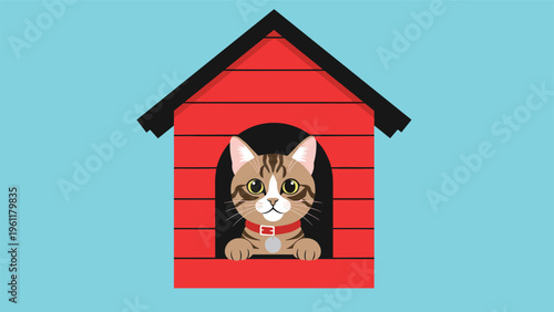 Curious tabby cat with a red collar and bell looks out from the entrance of a small red doghouse against a blue background.