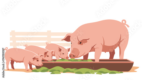 Large pink sow and three small piglets eat green leaves together from a wooden trough on a farm with a white fence.