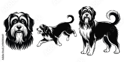 A black and white illustration of a dog in three different poses