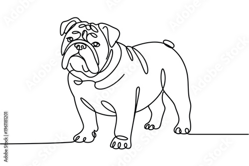 A simple line drawing of a bulldog standing on a flat surface
