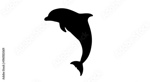Modern business logo features a black silhouette vector of a dolphin with a minimal flame logo.