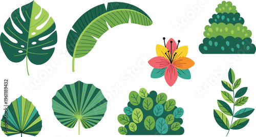 Tropical leaves and plants vector set featuring monstera banana palm foliage and flowers for nature botanical design illustrations