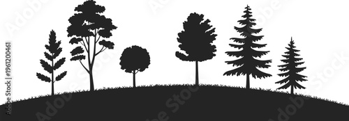 trees, forest, silhouette, nature, landscape, hill, grass, outdoors, scenery, environment, foliage, woodland, horizon, vegetation, diversity