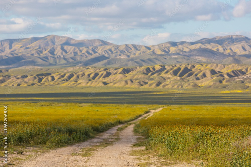 Obraz premium Carrizo