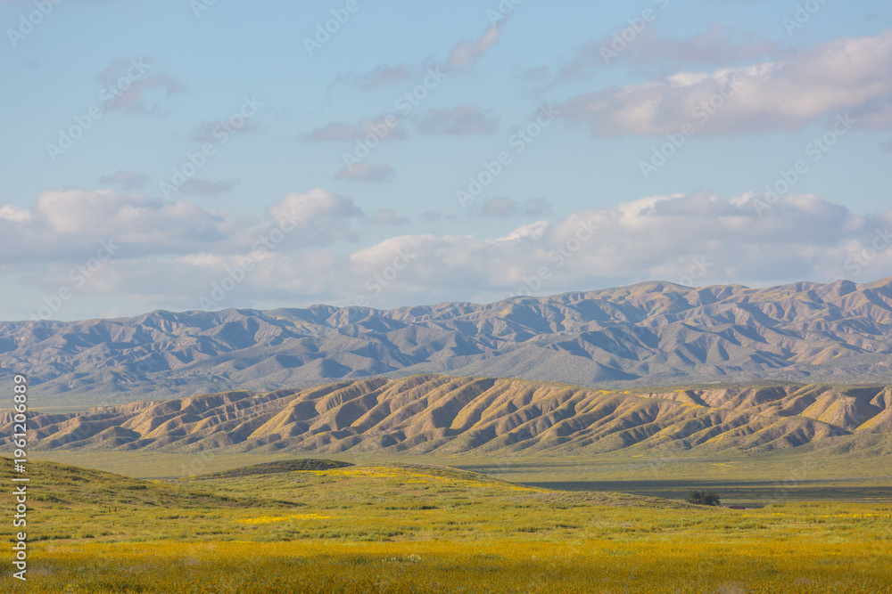 Obraz premium Carrizo