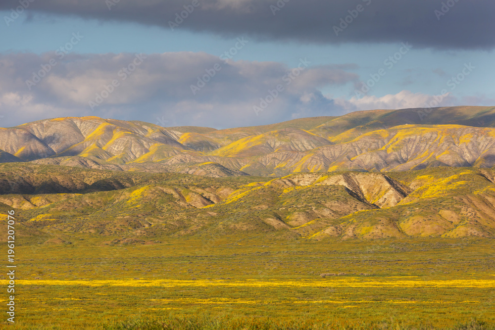 Obraz premium Carrizo