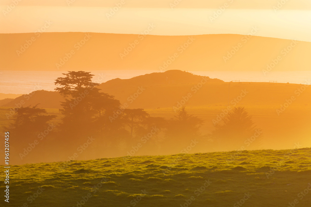 Obraz premium Foggy meadow