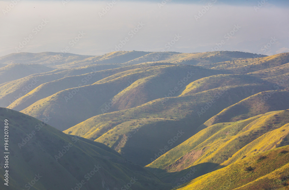 Obraz premium Green hills