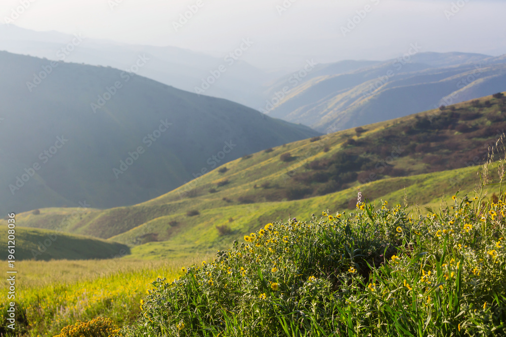 Obraz premium Green hills