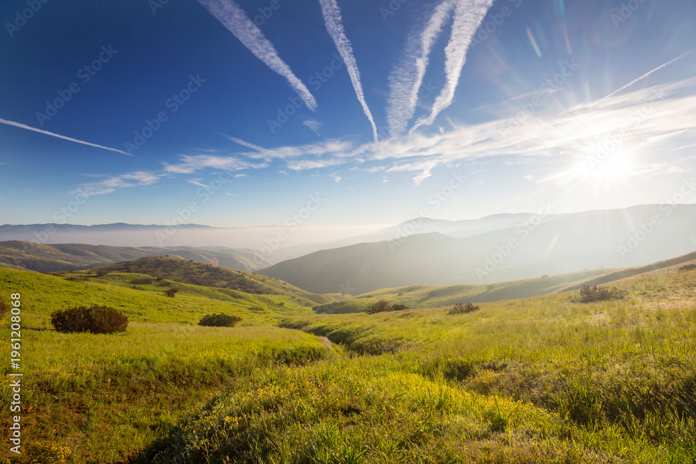 Obraz premium Green hills