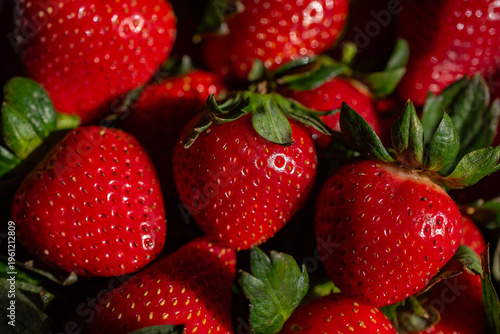 Fresh picked red ripe strawberries 