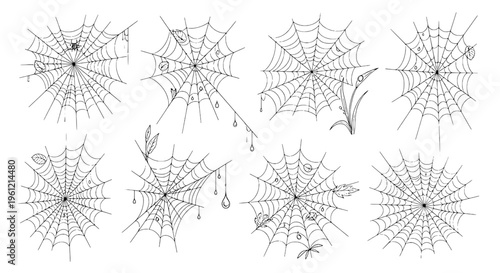 Spider webs hand drawn set with black lines and leaves, featuring intricate designs and dew drops. featuring cobweb, cobwebs, halloween with spooky