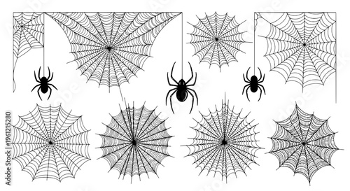 Spider web and spider vector set for Halloween with detailed radial patterns and hanging arachnids. featuring arachnid, creepy, spooky with scary and