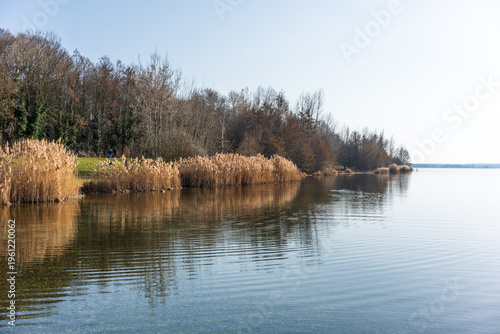 Der Cospudener See bei Leipzig an einem sonnigen Frühjahrstag im März