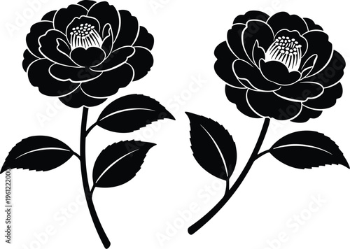 Stylized black and white twin blooming flowers with serrated leaves, artistic symmetrical botanical design for decorative illustration