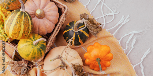 White and orange pumpkins surrounded by gourds on cozy striped blanket with basket in harvest theme