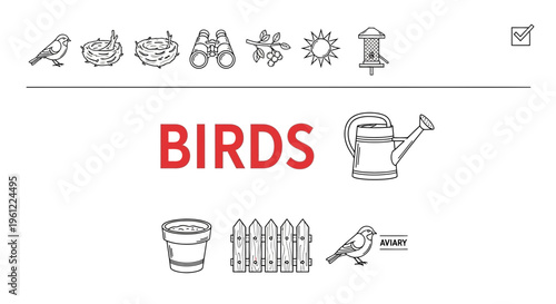 Black and white line icons related to birds surrounding the red word BIRDS