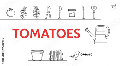 Black and white line art illustrations related to gardening and tomatoes centered around the red text TOMATOES