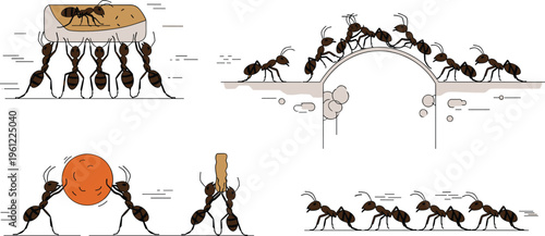Ant Teamwork and Cooperation Vector Illustration with Insects Carrying Food, Building Bridge and Collaborative Behavior Concept Collection