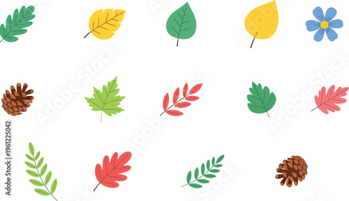 Set of colorful autumn leaves and forest elements, flat vector illustration of maple, oak, pine cone and flower isolated on white background.