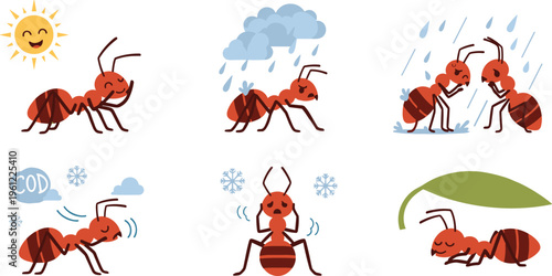 Ant Behavior in Different Weather Conditions Vector Set with Sun, Rain, Cold, Snow and Nature Environment Illustration Collection