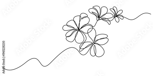 Plumeria flowers in continuous line art drawing style. Minimalist black line sketch on white background, Flower continuous line art drawing. Plumeria one line symbol. Frangipani blossom. Vector illust