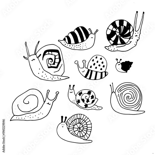 Set of snails in simple line style. Black and white vector collection suitable for coloring pages, kids design, educational materials and prints.
