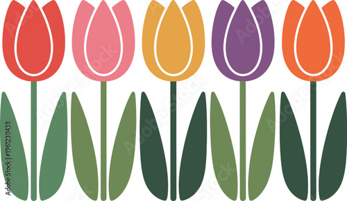 Set of colorful tulip flowers in row isolated on transparent background for spring season greeting. Vector illustration