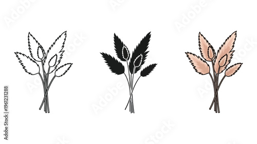 Pampas Grass Botanical Bundle Commercial Vector