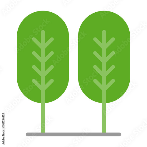 Birch tree Vector Icon
