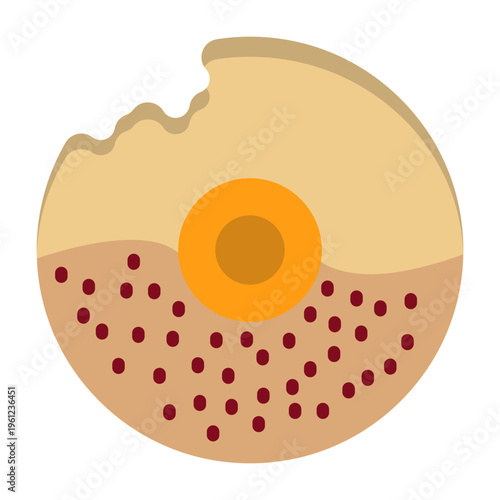 Donut Vector Icon