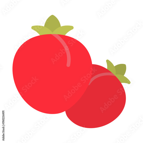 Tomato Vector Icon