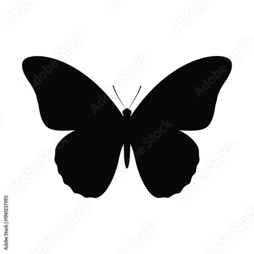 Vector graphics of a vibrant abstract splash of paint, digital art