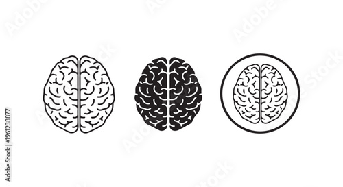Three different views of a human brain illustration
