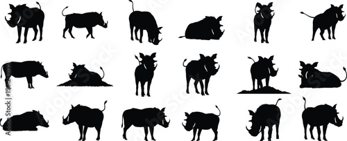 Collection of various animal silhouettes including cows bulls and pigs in different poses and angles silhouette