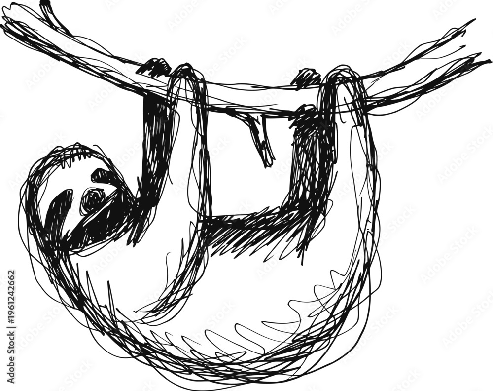 Fototapeta premium Hand drawn sloth hanging on branch sketch cute lazy animal with slow movements illustration