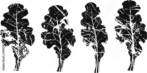 silhouettes of kale leaves in dark black with textured distressed patterns isolated on white background