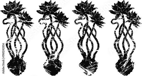 Ginseng root illustration, four hand drawn ginseng plants with leaves and detailed roots in black ink