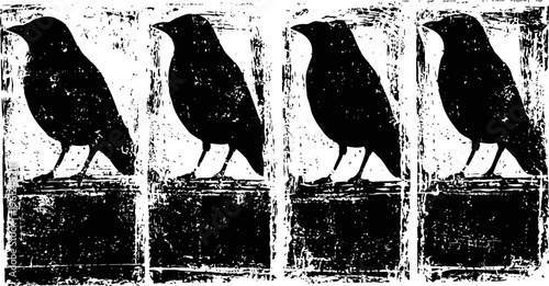 black crow silhouettes in grunge style, four birds perched on textured background panels