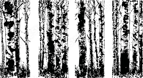 Grunge black and white birch tree bark texture set abstract natural wood patterns for design and background