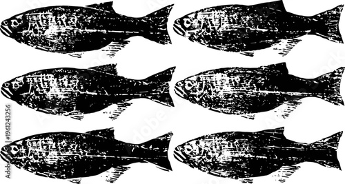 Six vintage fish illustrations arranged in two rows with detailed textures on transparent background