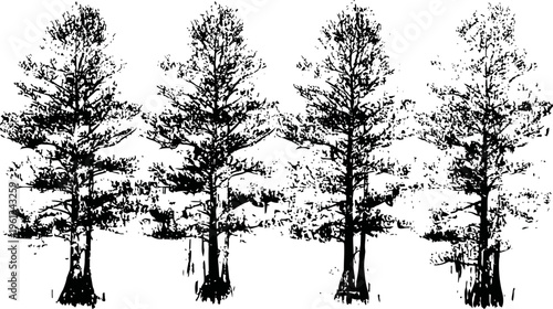 Four tall cypress trees with detailed black silhouette and exposed root structure