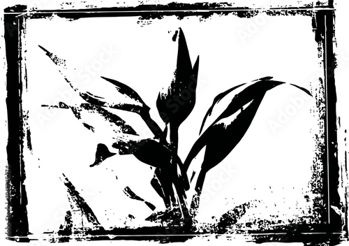 silhouette of blooming flower with leaves inside rough textured rectangular frame