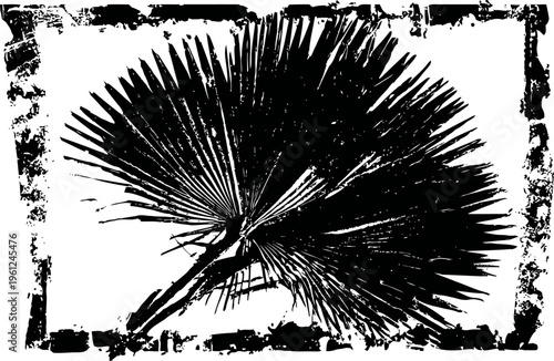 Black fan palm leaf silhouette with textured border frame, tropical botanical nature design