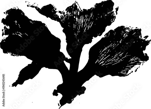 Black and white seaweed silhouette with detailed fronds and natural texture isolated on white background