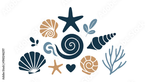 seashells starfish and seaweed on white background