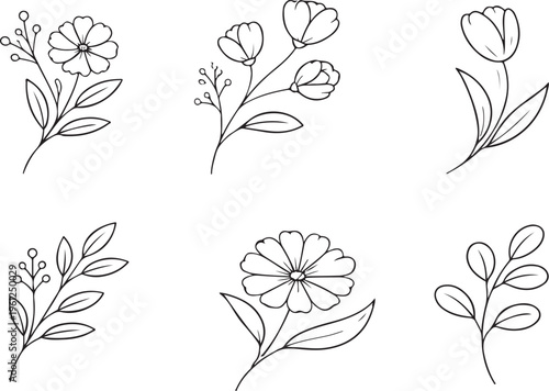 Simple line drawing of various blossoming flowers and leafy stems