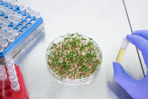 Schilderij op canvas A scientist displays a plant protection product against viruses, bacteria, and insects, developed in the laboratory