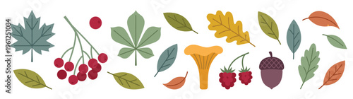Diverse Autumn Fall Season Elements Collection Featuring Maple, Oak, and Chestnut Leaves, Red Berries, Chanterelle Mushroom, and Acorn for Seasonal Nature Designs, Isolated on White.
